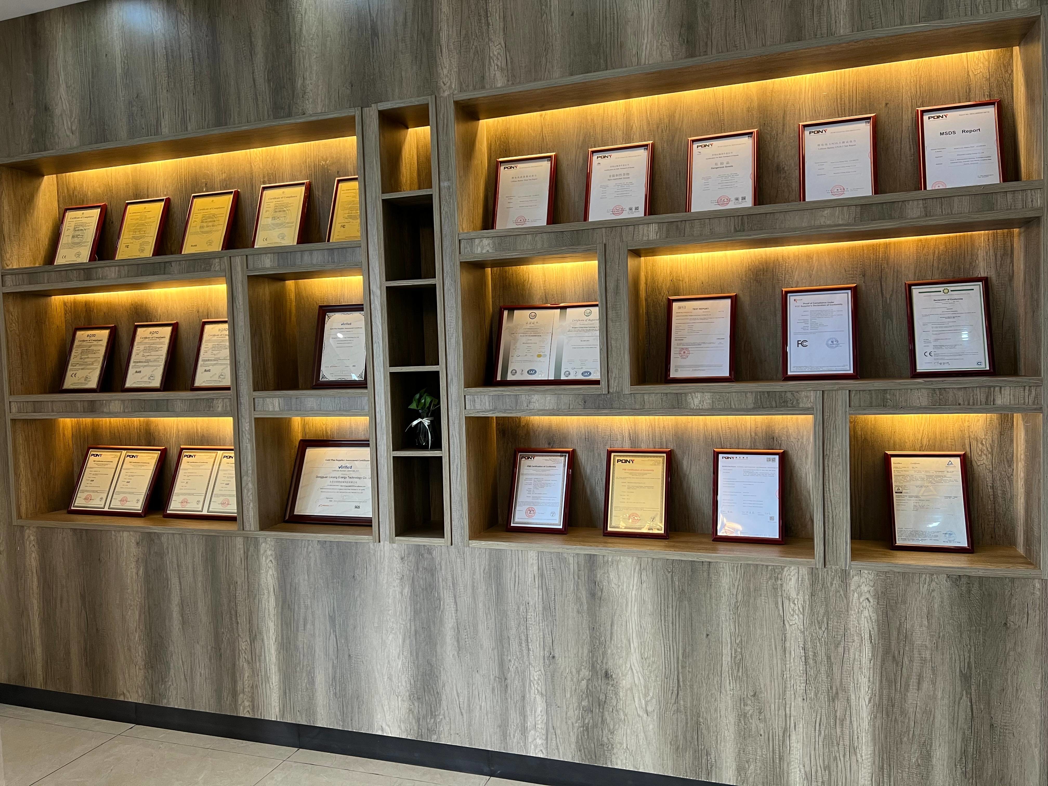 Chiny Dongguan Lixiang Energy Technology Co., Ltd. profil firmy